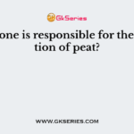 Which one is responsible for the formation of peat?