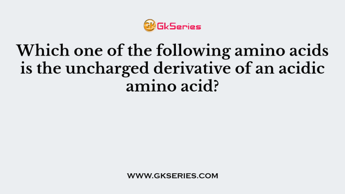 Which one of the following amino acids is the uncharged derivative of an acidic amino acid?