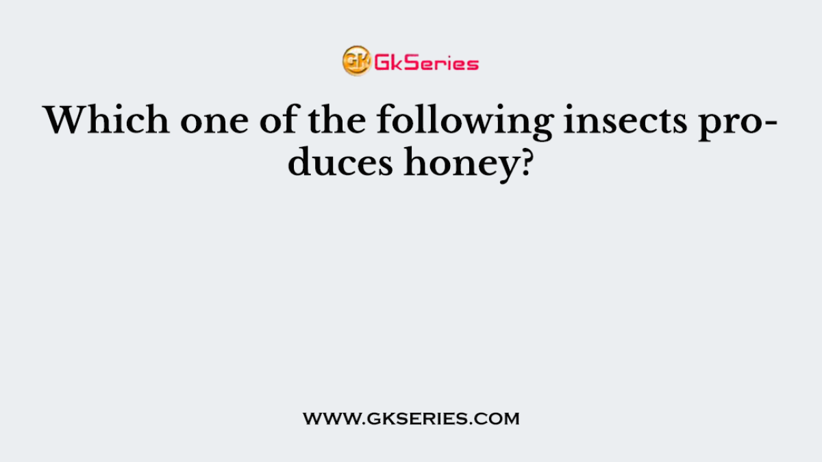 Which one of the following insects produces honey