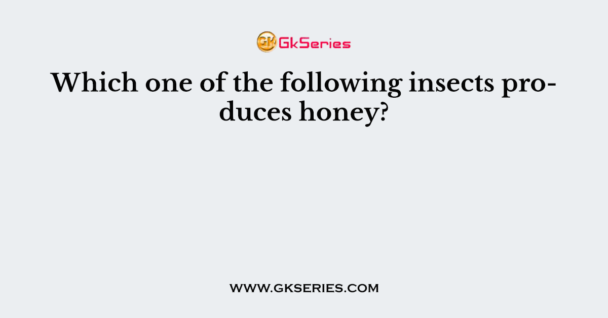 Which one of the following insects produces honey