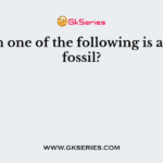 Which one of the following is a living fossil?