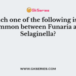 Which one of the following is not common between Funaria and Selaginella?