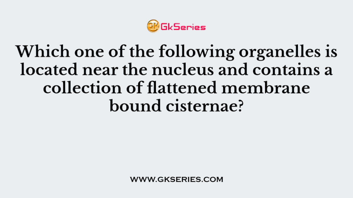 Which one of the following organelles is located near the nucleus and contains a collection of flattened membrane bound cisternae?