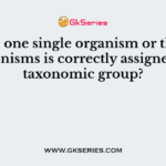 Which one single organism or the pair of organisms is correctly assigned to its taxonomic group?