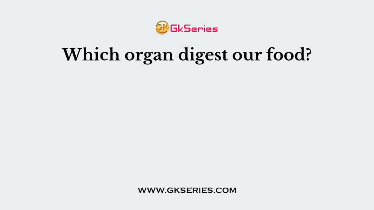 Which organ digest our food?