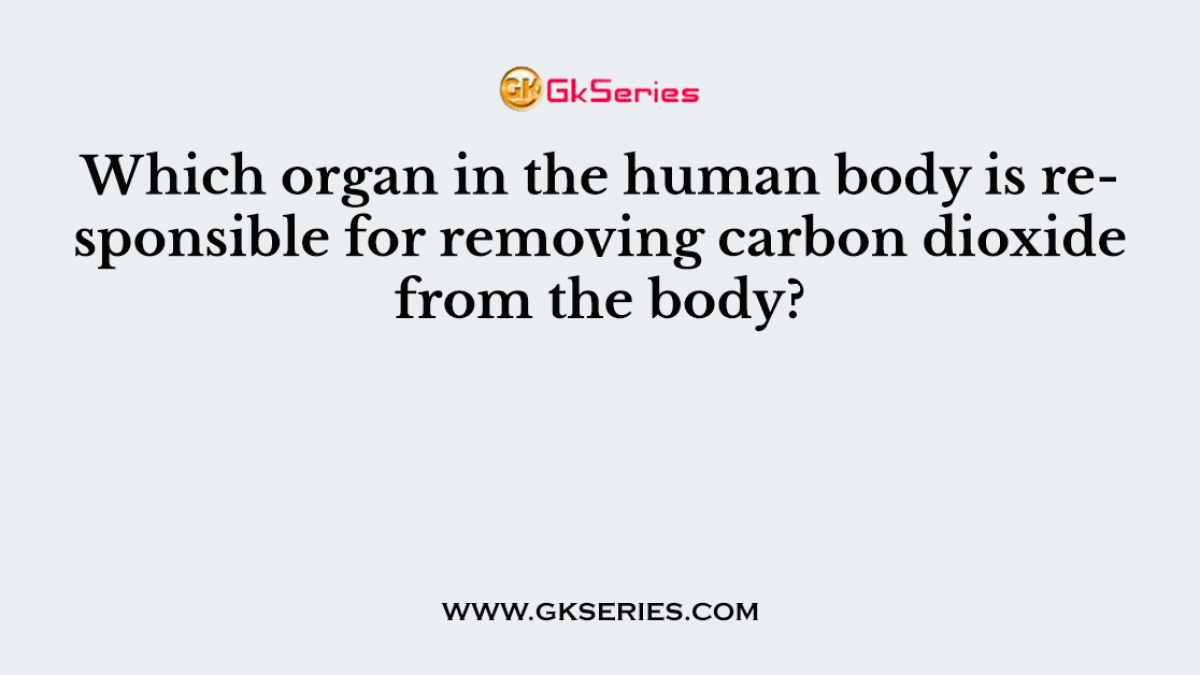 Which organ in the human body is responsible for removing carbon dioxide from the body?