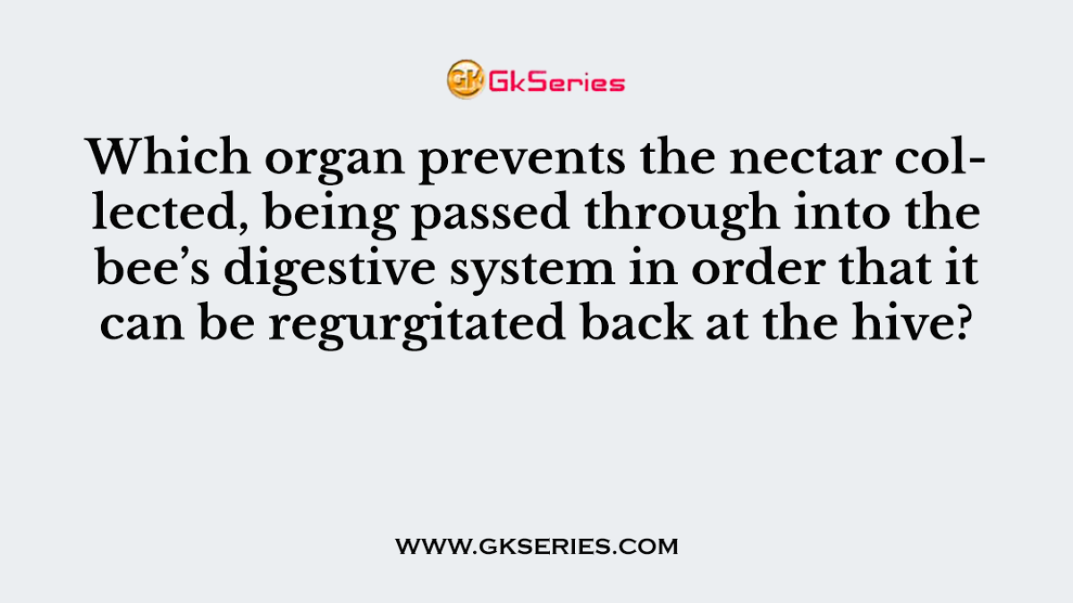 Which organ prevents the nectar collected, being passed through into the bee’s digestive system in order that it can be regurgitated back at the hive?