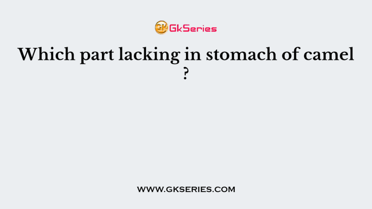 Which part lacking in stomach of camel ?