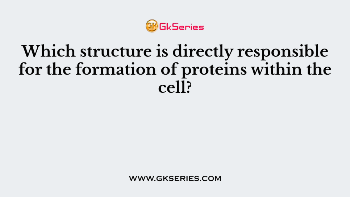 Which structure is directly responsible for the formation of proteins within the cell?