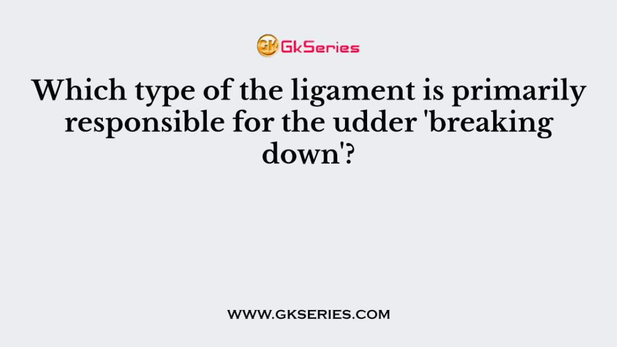 Which type of the ligament is primarily responsible for the udder 'breaking down'?