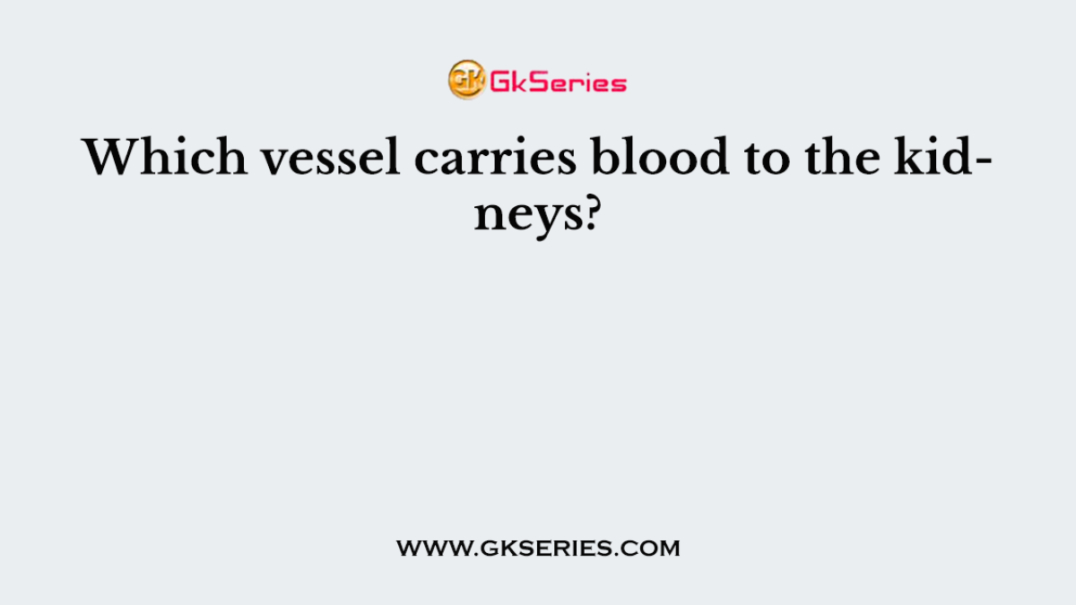 Which vessel carries blood to the kidneys?