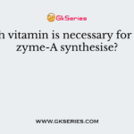 Which vitamin is necessary for coenzyme-A synthesise?