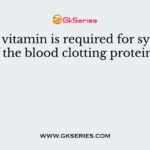 Which vitamin is required for synthesis of the blood clotting proteins?