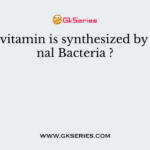 Which vitamin is synthesized by intestinal Bacteria ?