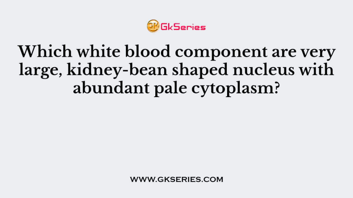 Which white blood component are very large, kidney-bean shaped nucleus with abundant pale cytoplasm?