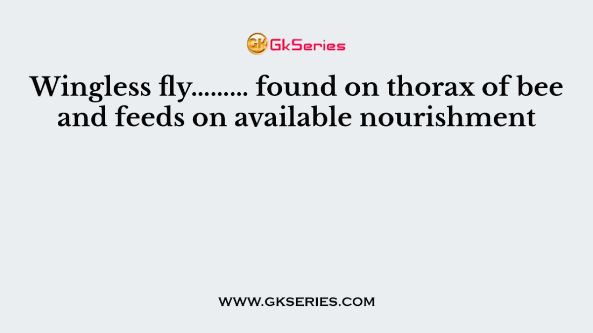 Wingless fly……… found on thorax of bee and feeds on available nourishment