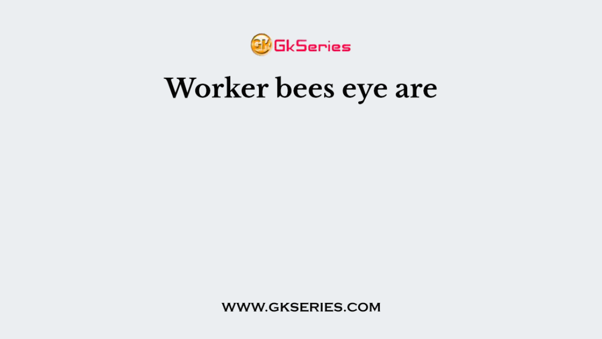 Worker bees eye are
