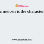Zygotic meiosis is the characteristic of