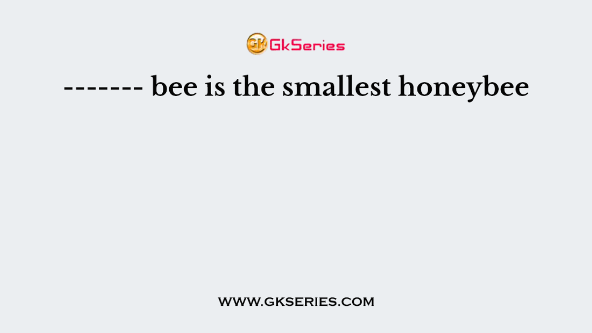------- bee is the smallest honeybee