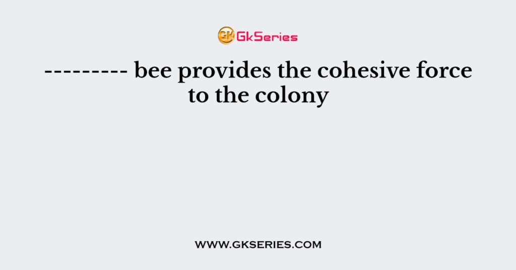 --------- bee provides the cohesive force to the colony