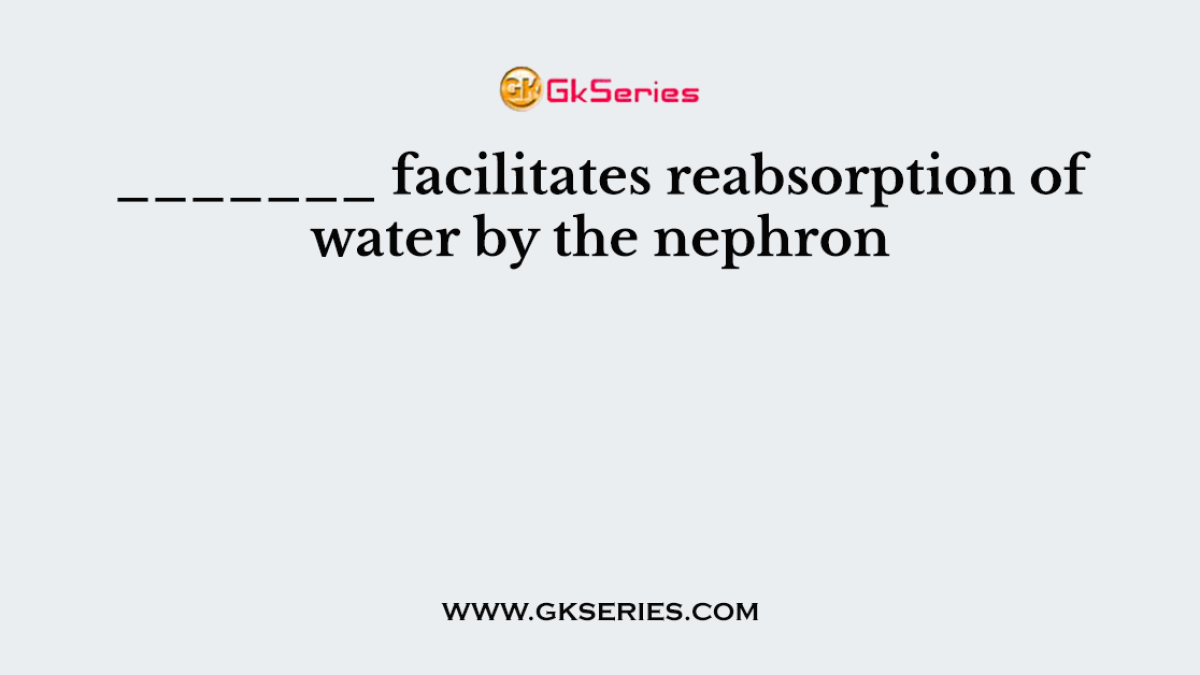 _______ facilitates reabsorption of water by the nephron