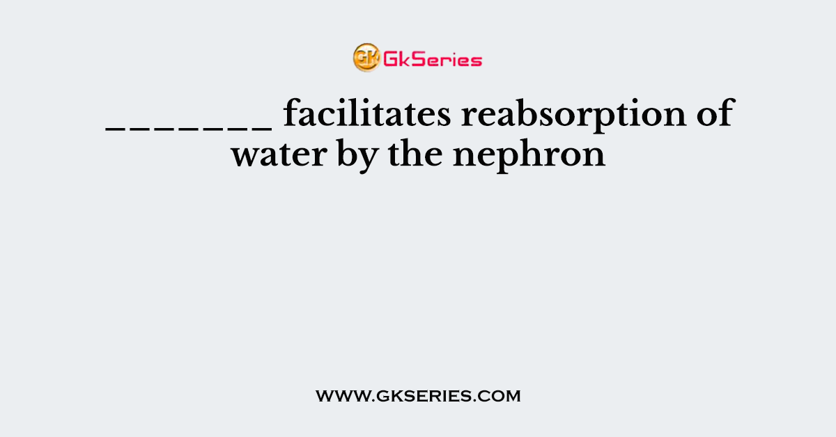 _______ facilitates reabsorption of water by the nephron