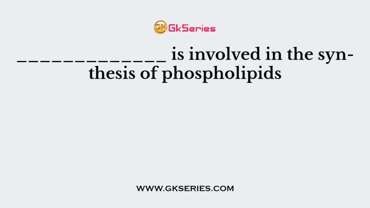 _____________ is involved in the synthesis of phospholipids