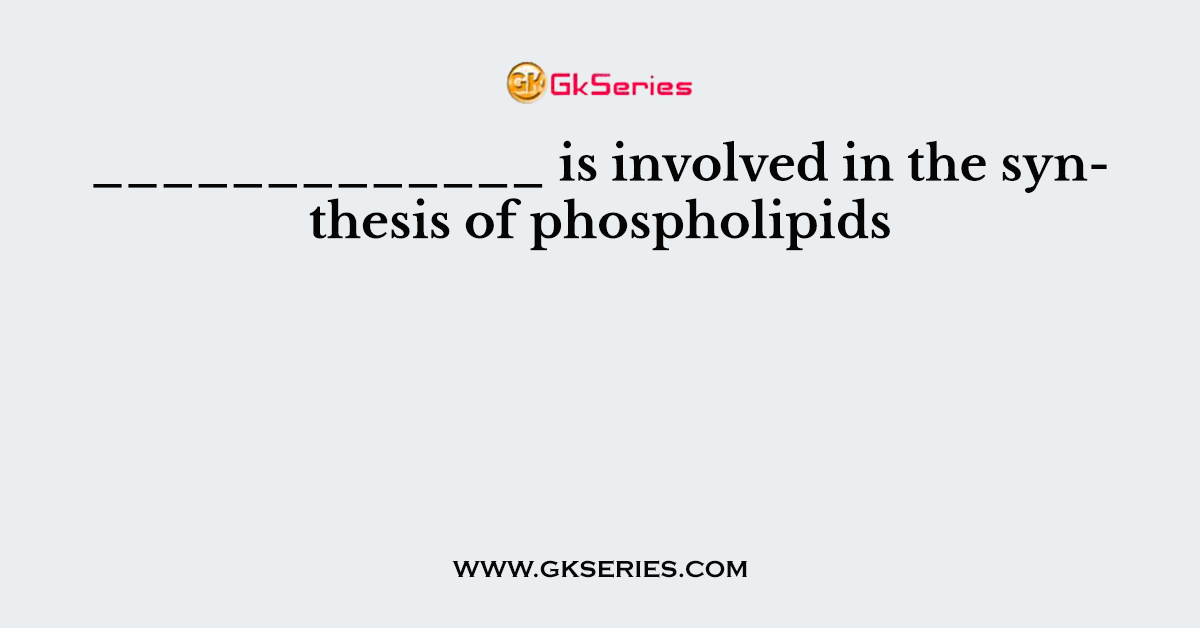 _____________ is involved in the synthesis of phospholipids