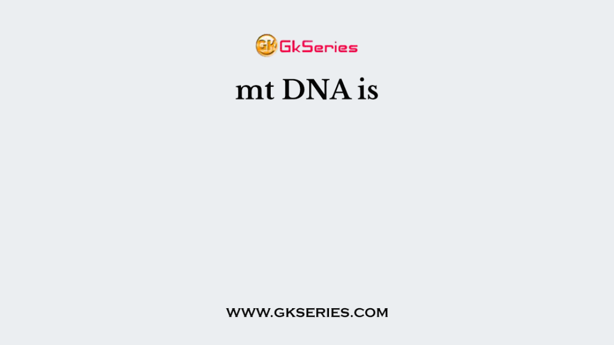 mt DNA is