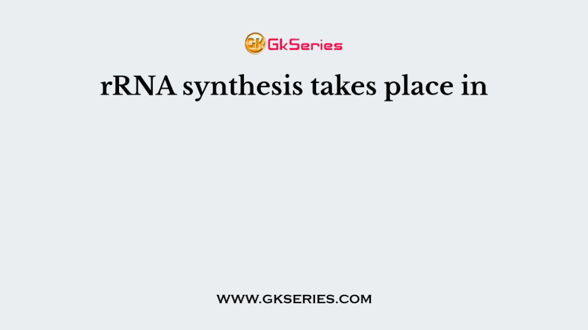 rRNA synthesis takes place in