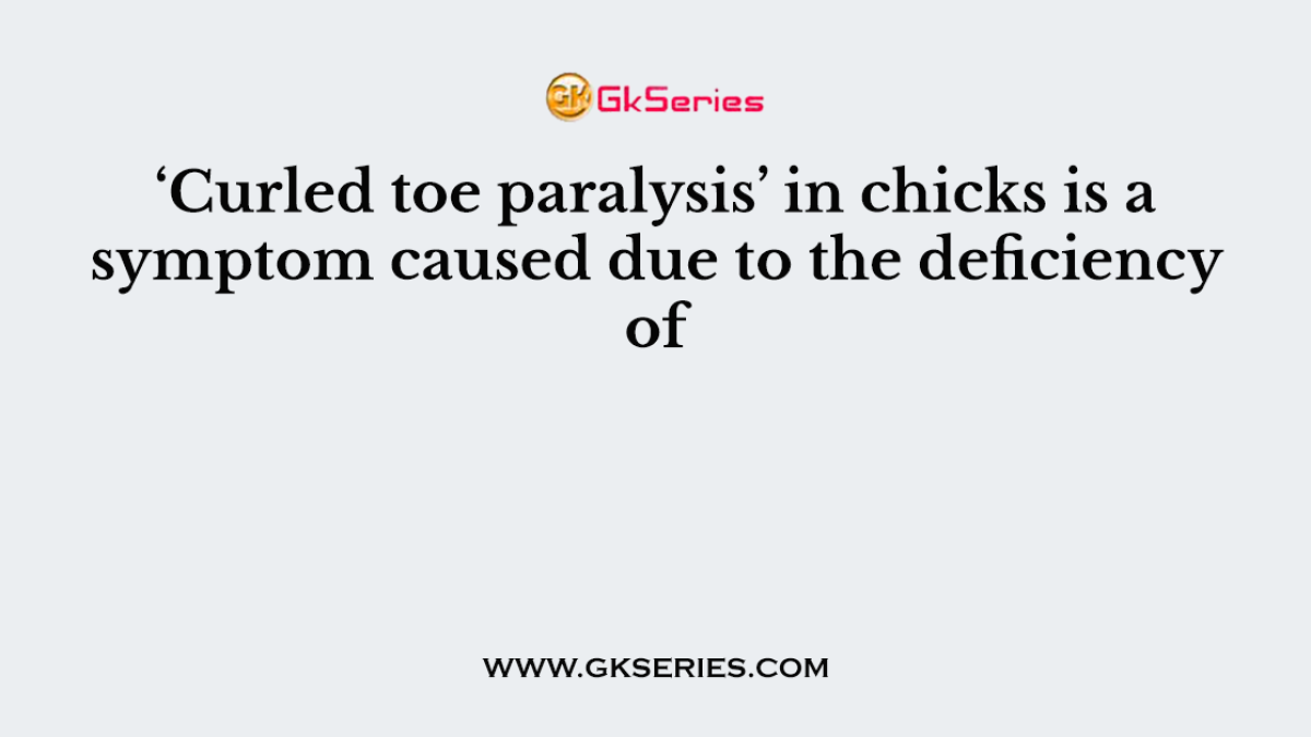 ‘Curled toe paralysis’ in chicks is a symptom caused due to the deficiency of