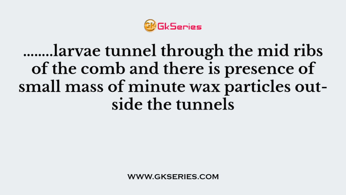 ……..larvae tunnel through the mid ribs of the comb and there is presence of small mass of minute wax particles outside the tunnels