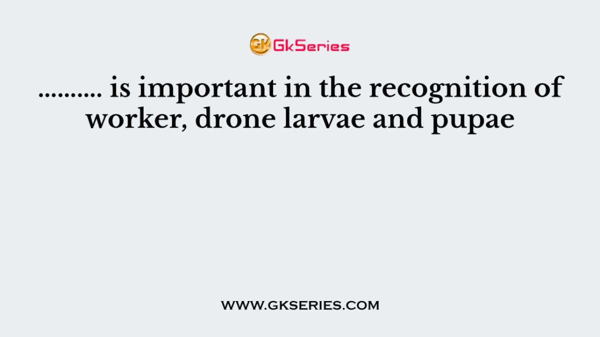 ………. is important in the recognition of worker, drone larvae and pupae