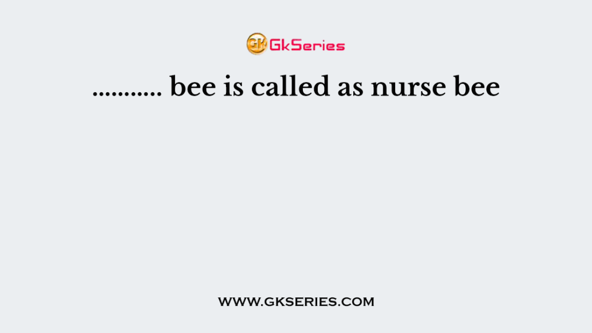 ……….. bee is called as nurse bee