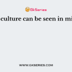 ……….. culture can be seen in military