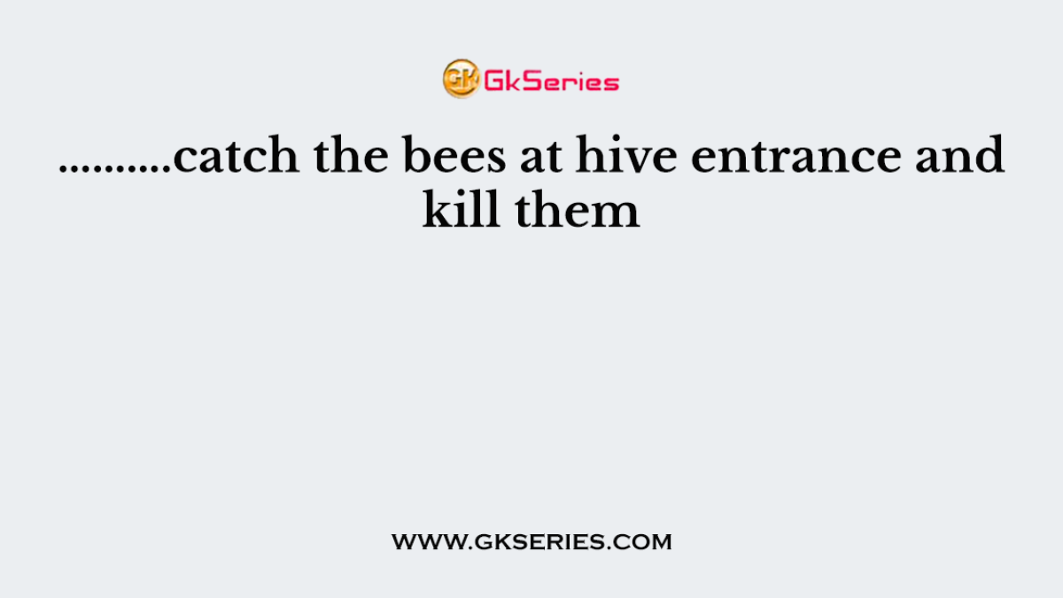 ……….catch the bees at hive entrance and kill them