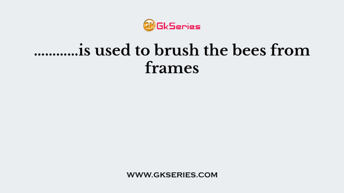 …………is used to brush the bees from frames