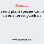500 different plant species can be found in one forest patch in