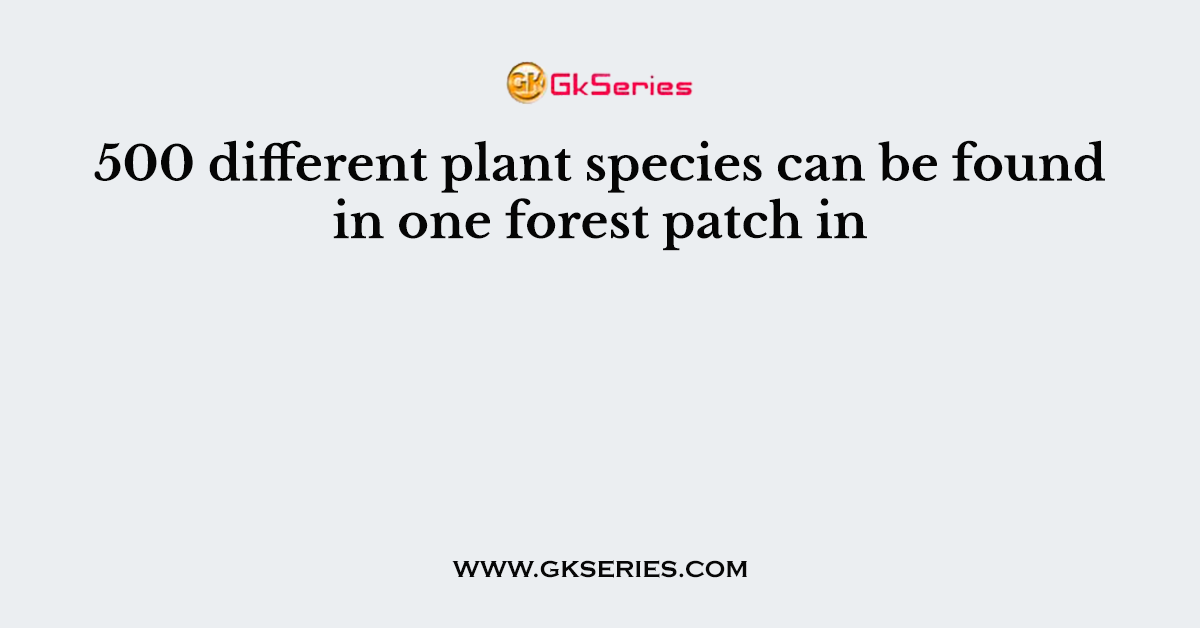 500 different plant species can be found in one forest patch in