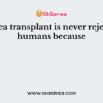 A cornea transplant is never rejected in humans because