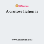A crutose lichen is