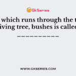 A fire which runs through the top of living tree, bushes is called __________