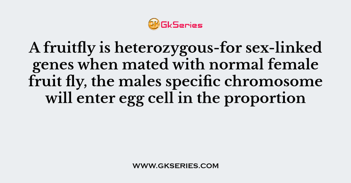 A fruitfly is heterozygous-for sex-linked genes when mated with normal female fruit fly, the males specific chromosome will enter egg cell in the proportion