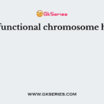 A functional chromosome has