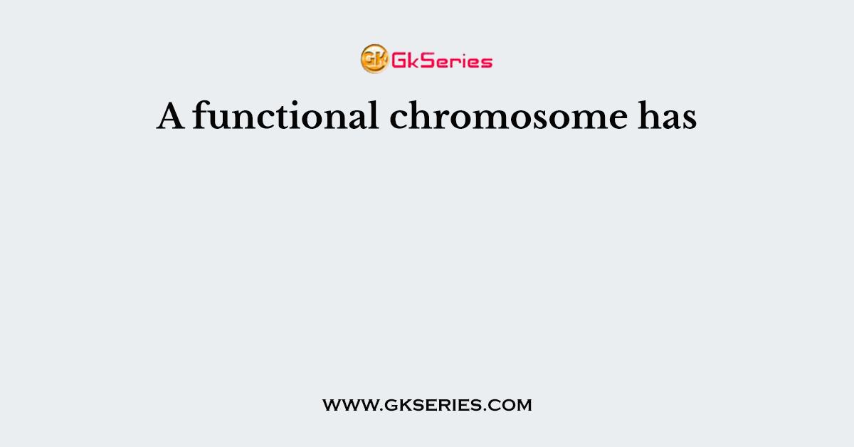 A functional chromosome has