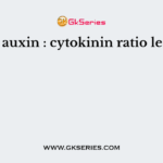 A low auxin:cytokinin ratio leads to