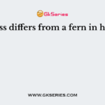 A moss differs from a fern in having