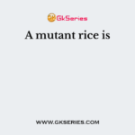 A mutant rice is