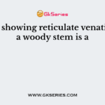 A plant showing reticulate venation and a woody stem is a