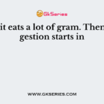 A rabbit eats a lot of gram. Then its digestion starts in